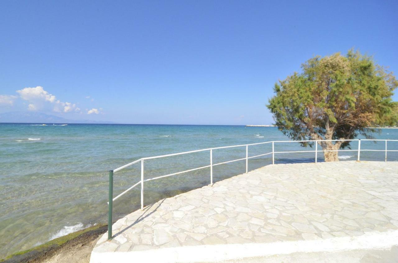 Oasis Beachfront Studios & Apartments, By Zantewize Alykanas  Eksteriør billede